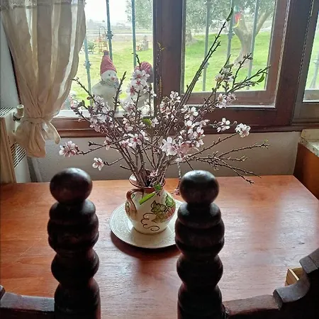 Casa vacanze Spiti Me Thea&elliniko Chroma *